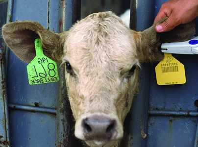 Nowa odsłona neon24 czyli CO?